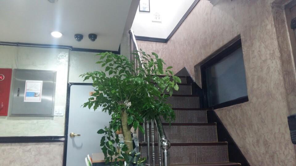 Kimstay Seul Exterior foto